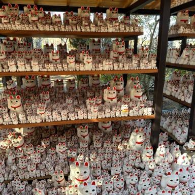 image of Gōtokuji Temple