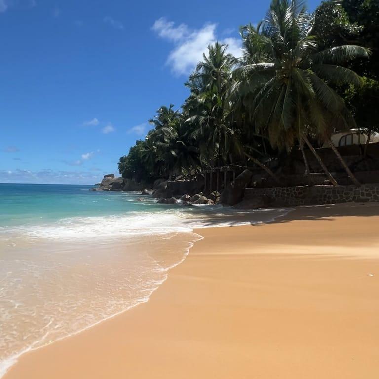 image of Top Soleil Beach Grill & Bar