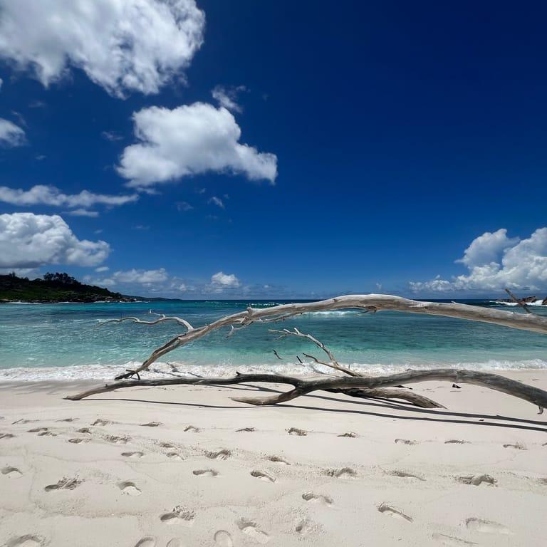 image of Anse Cocos beach