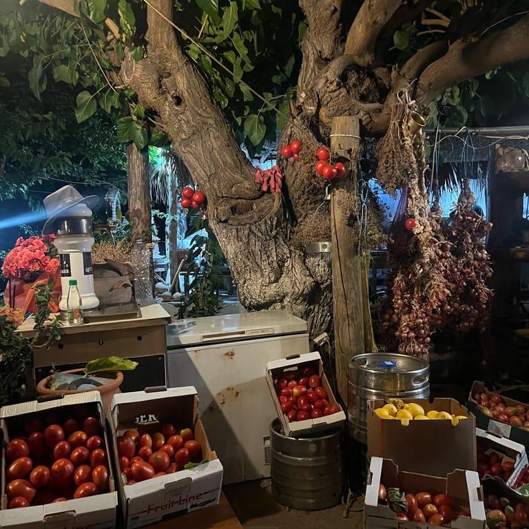 image of Ο Κήπος της Φροσύνης