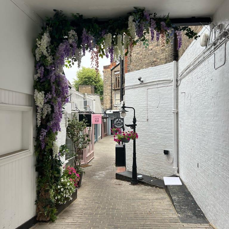 image of Ginger & White