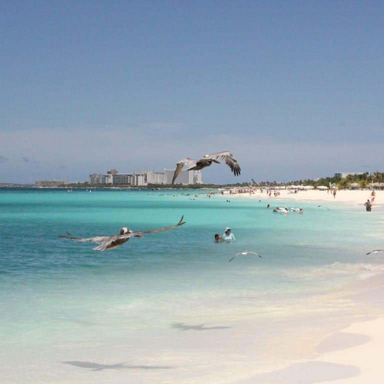 image of Bucuti & Tara Beach Resort