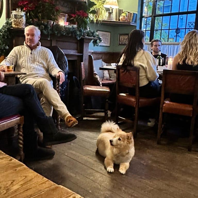 image of The Fox and Pheasant