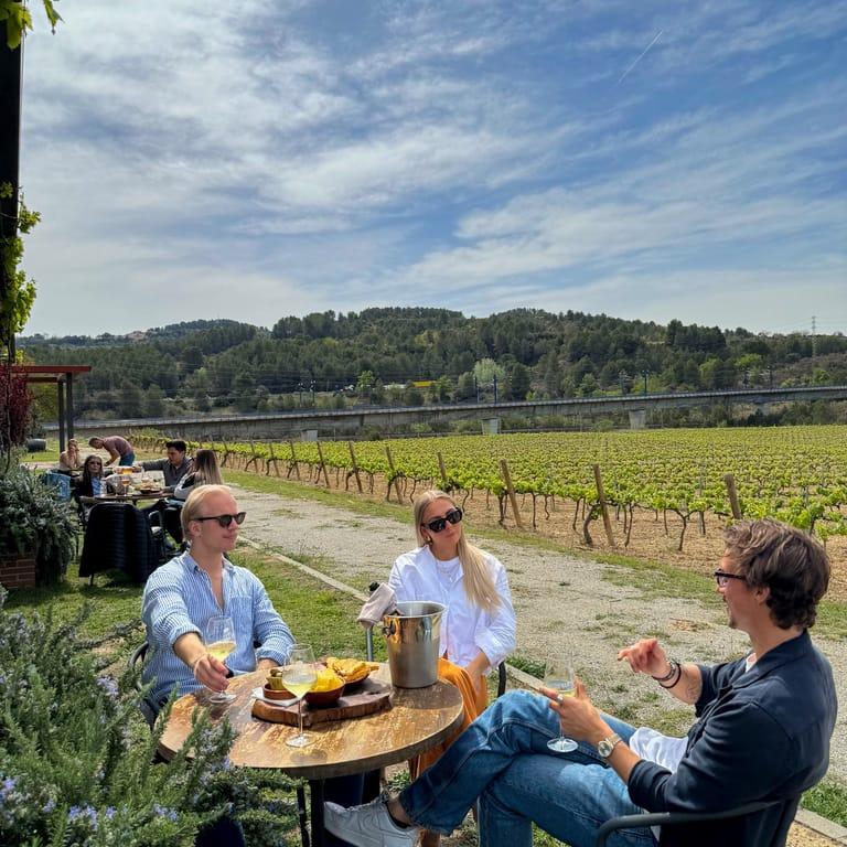 image of Sant Sadurní d'Anoia