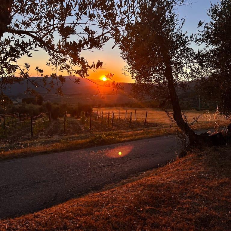 image of Fattoria Lavacchio AgriResort