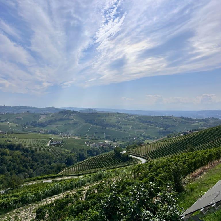 image of Villa Incanto Apartments