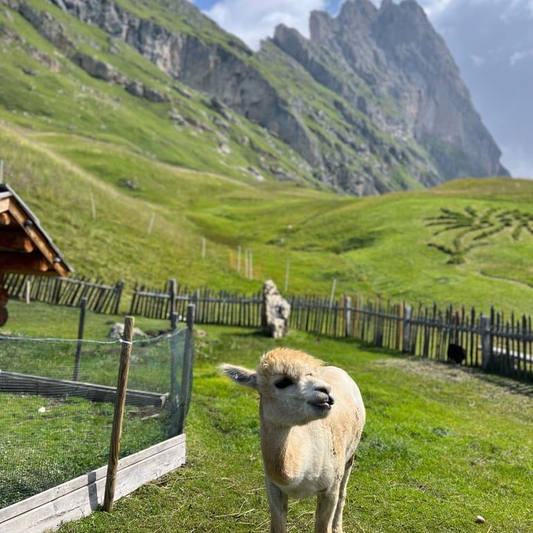 image of Seceda Cable Car