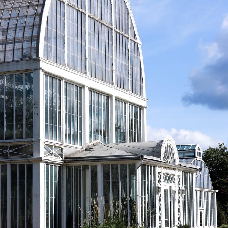 image of Palm House