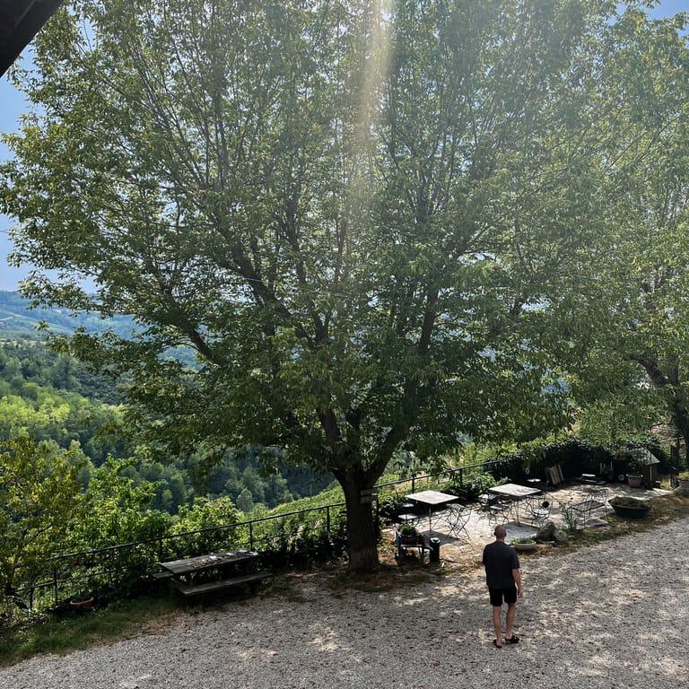 image of Cascina Sant'Eufemia