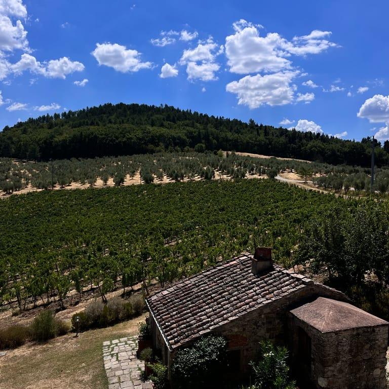 image of Fattoria Lavacchio AgriResort