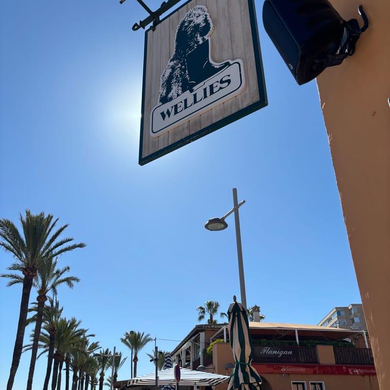 image of Wellies Restaurant