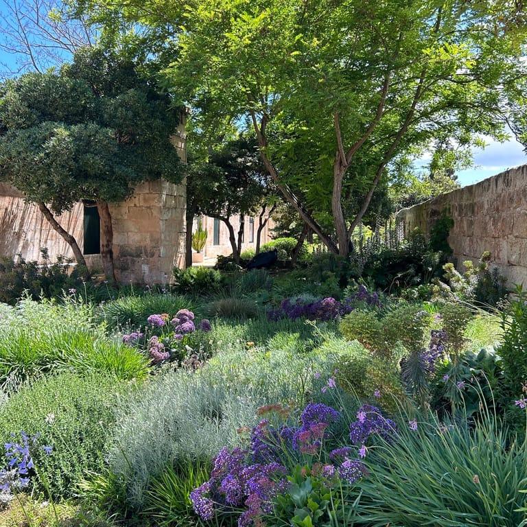 image of Hauser & Wirth Menorca