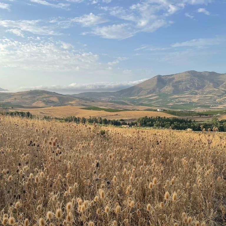 image of Agriturismo Tenute Pispisa