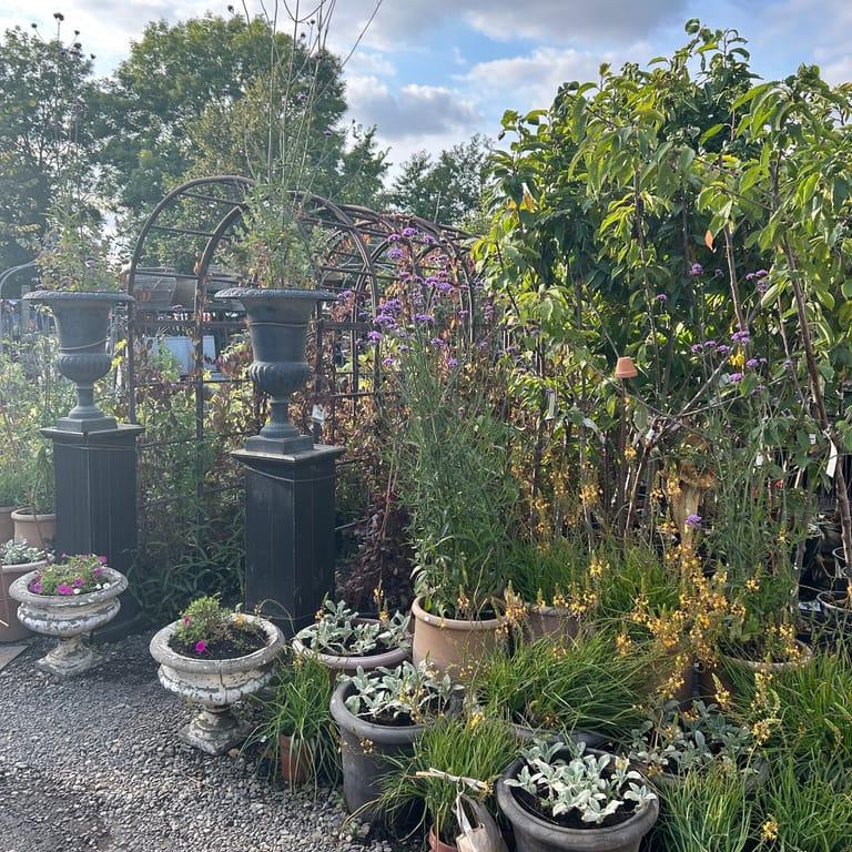 image of Karl Fredrik på Eklaholm