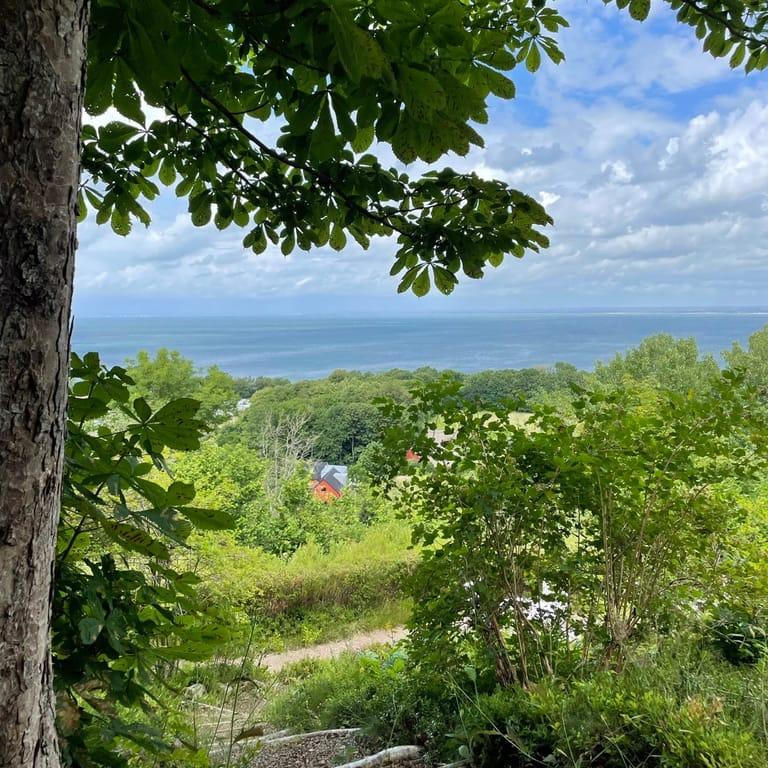 image of Solbacken's Waffel Mill