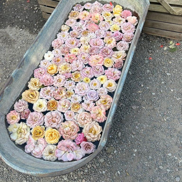 image of Karl Fredrik på Eklaholm