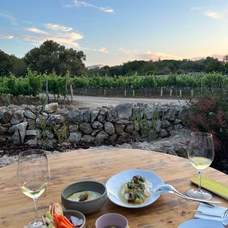 image of Bodegas Binifadet