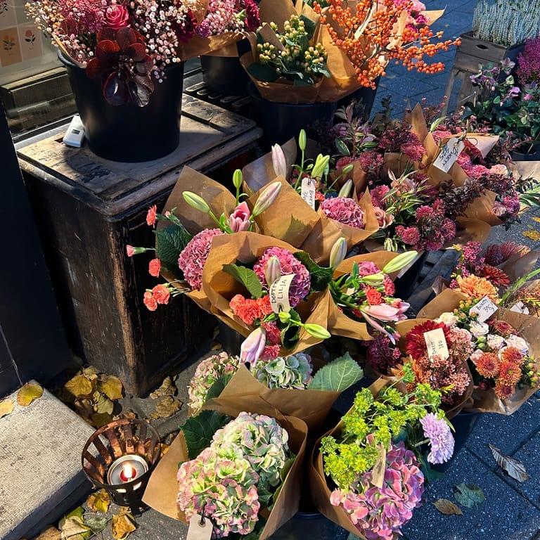 image of Petit Marche