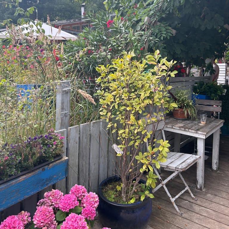 image of Piaskownica Sopot