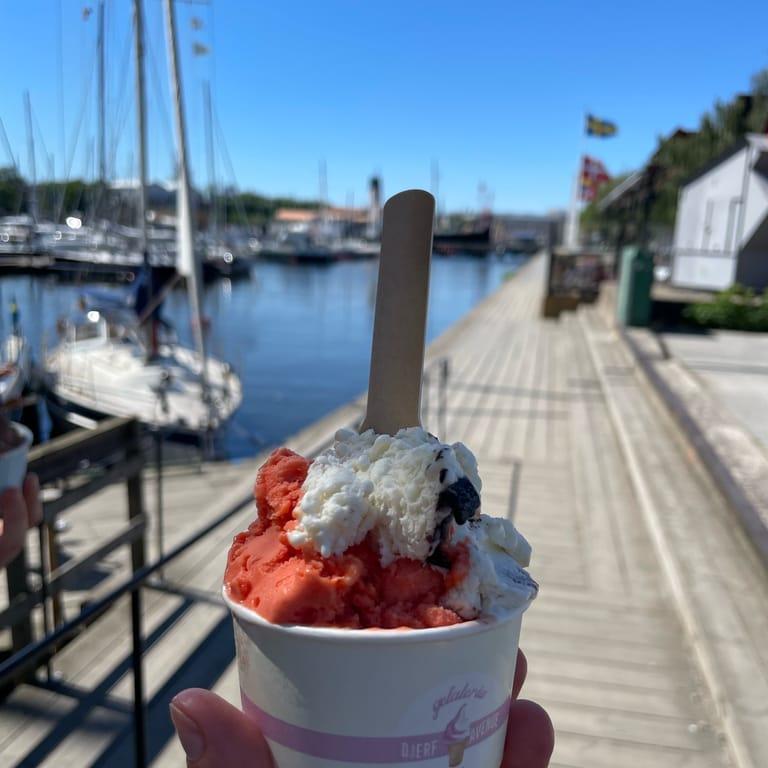 image of Kennys Gelato Djurgården